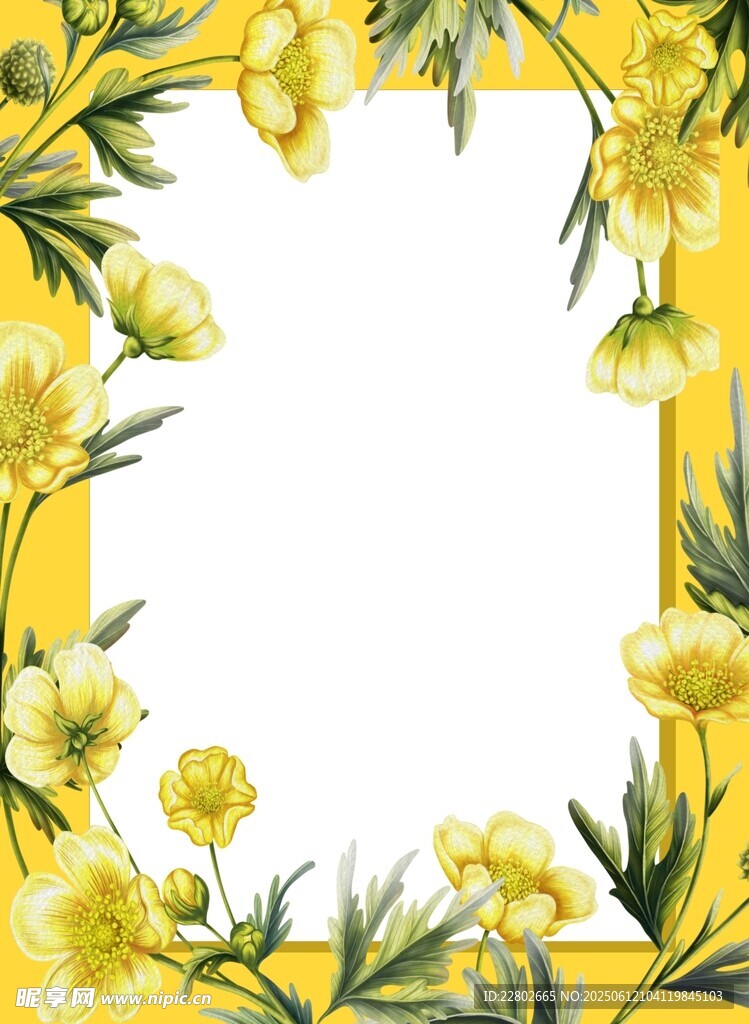 花卉邊框展板