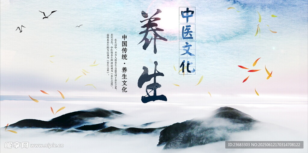 養生中醫文化海報素材