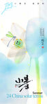 小暑節(jié)氣水墨荷花海報