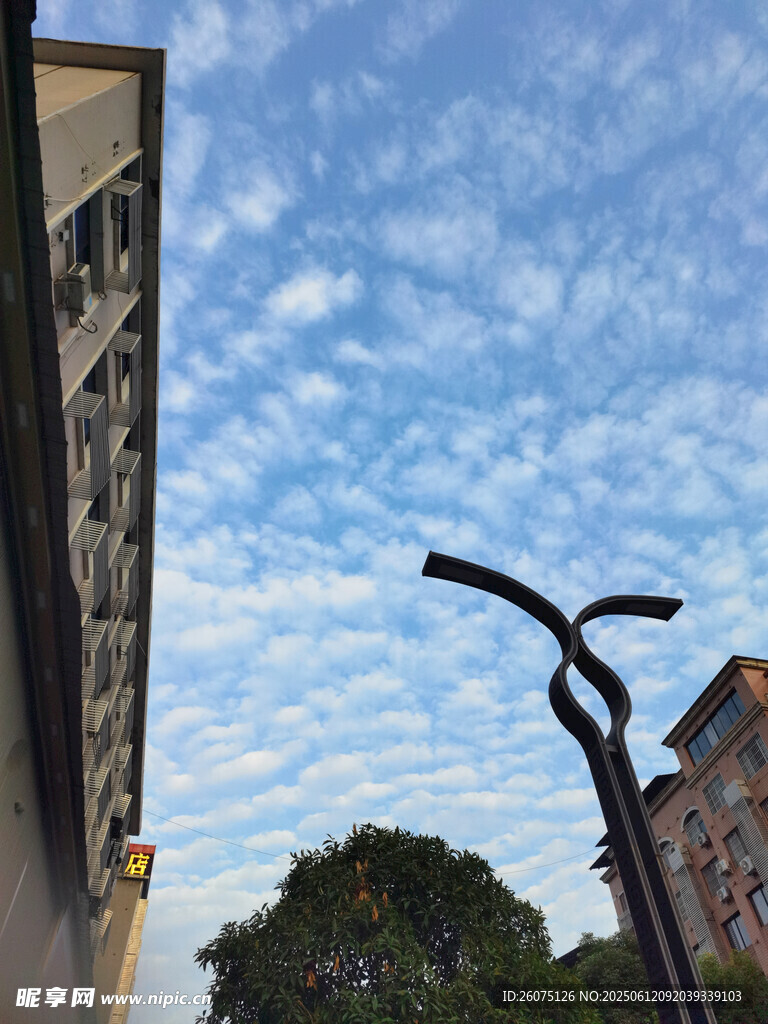 城市街道的天空與路燈景觀