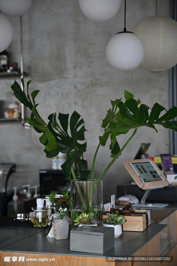 室內(nèi)綠植裝飾的溫馨角落