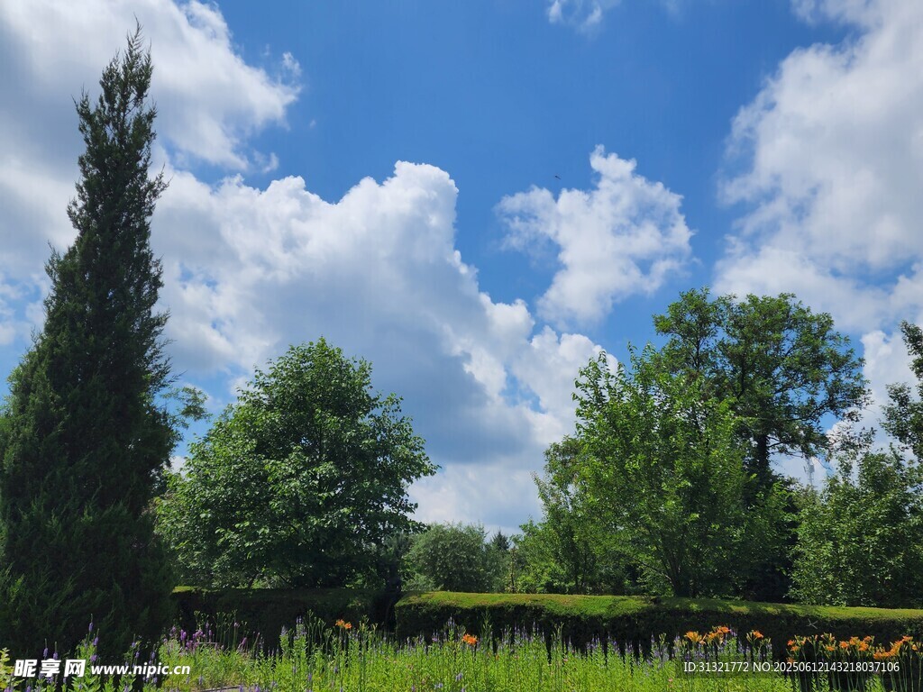 藍天白云下的綠意田園