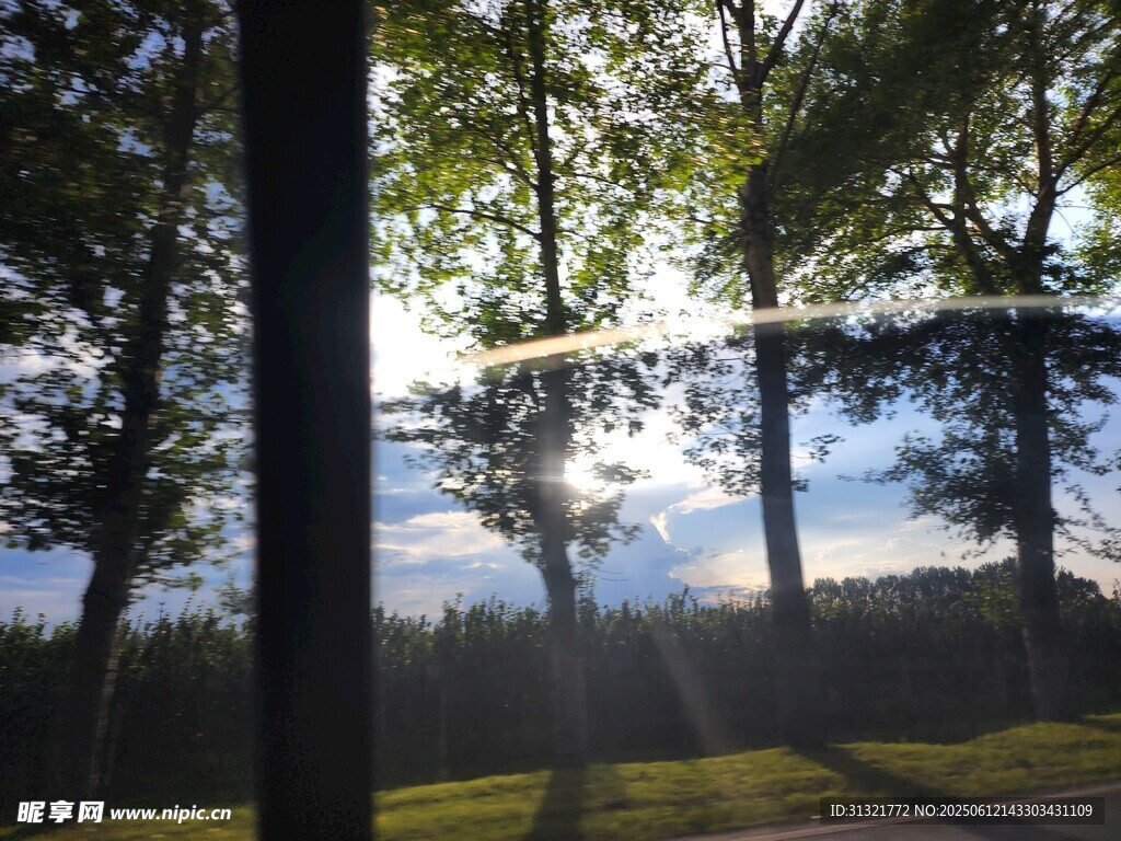 林間晨光美景