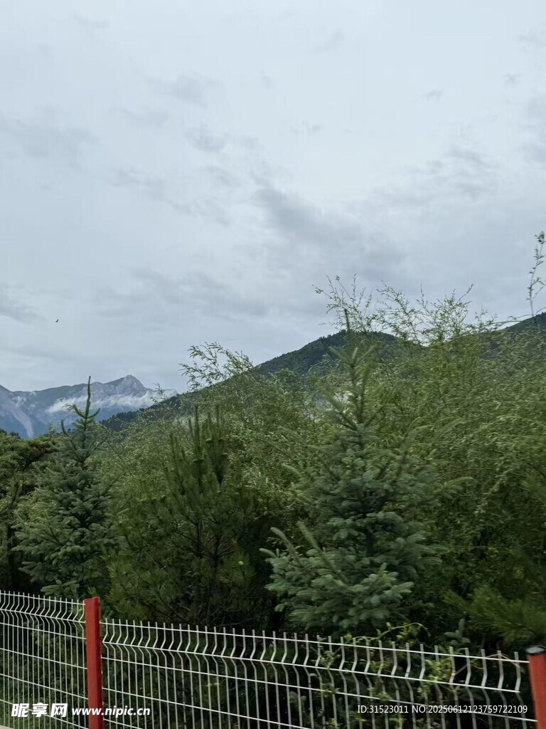 山間圍欄處的蔥郁景致