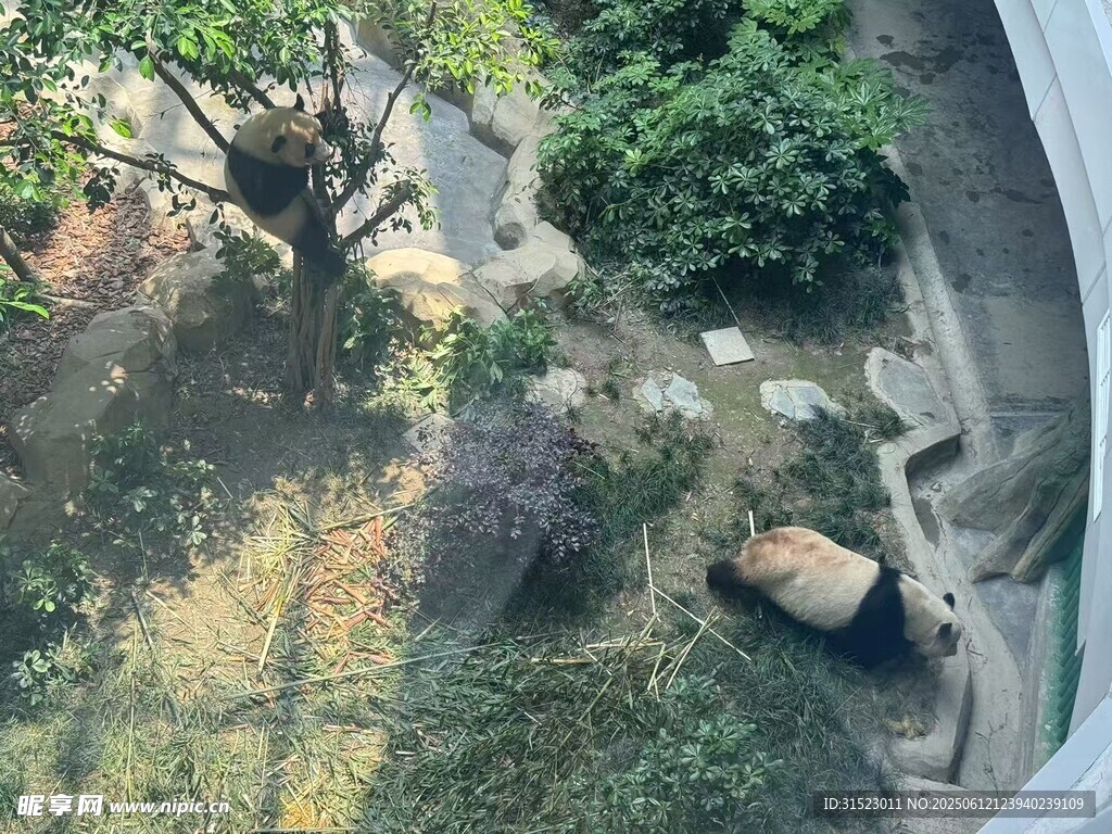 俯瞰庭院綠植景觀