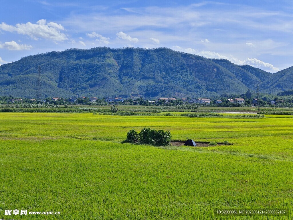 廣袤綠野與遠山美景