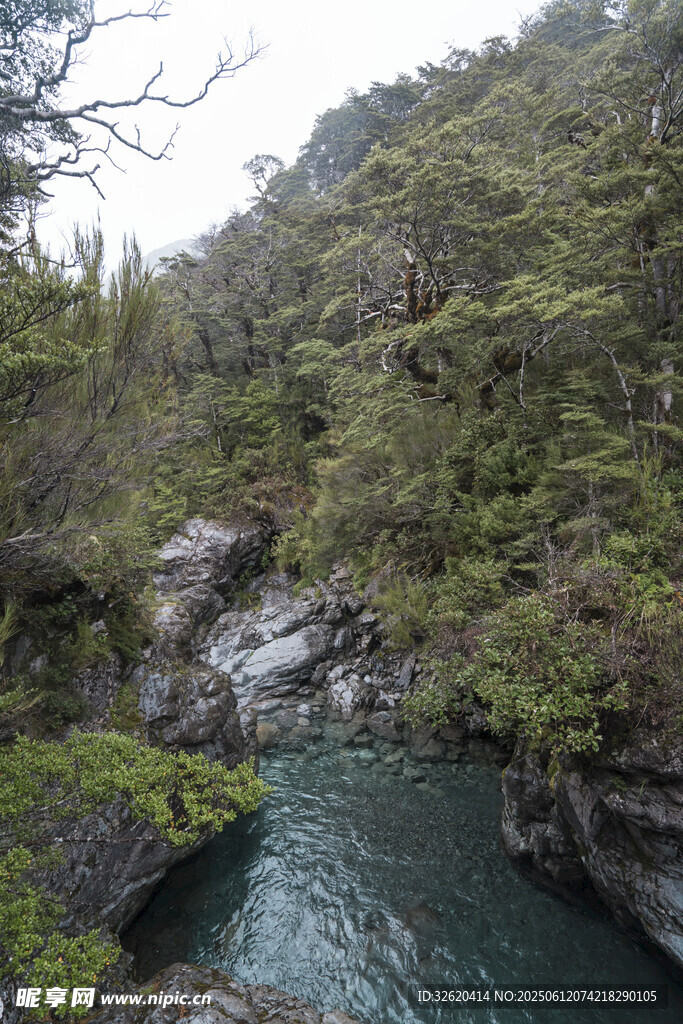 山間溪流 自然清幽之景