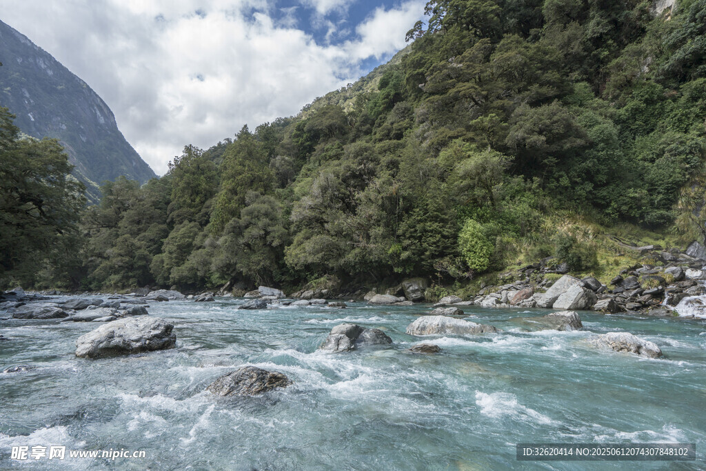 湍急河流穿山林美景