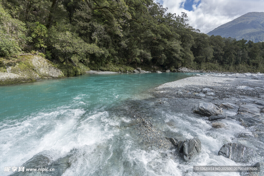 湍急河流與翠綠山林景觀