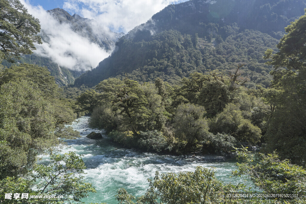 山間河流與蔥郁植被景觀