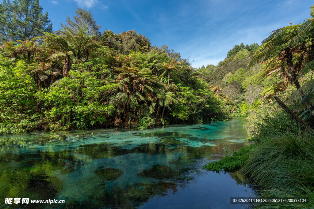 山間碧綠水畔蔥郁景致