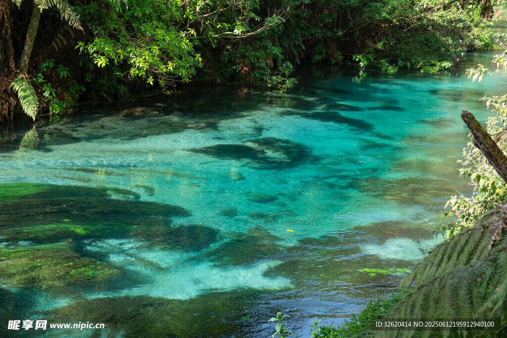 清澈藍綠色溪流自然美景