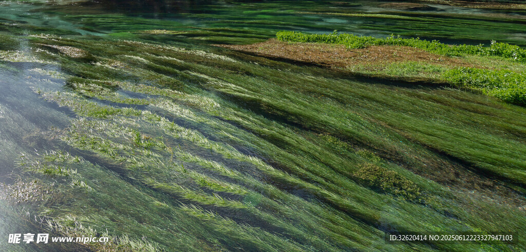梯田美景 綠意盎然