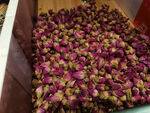干玫瑰花茶原料