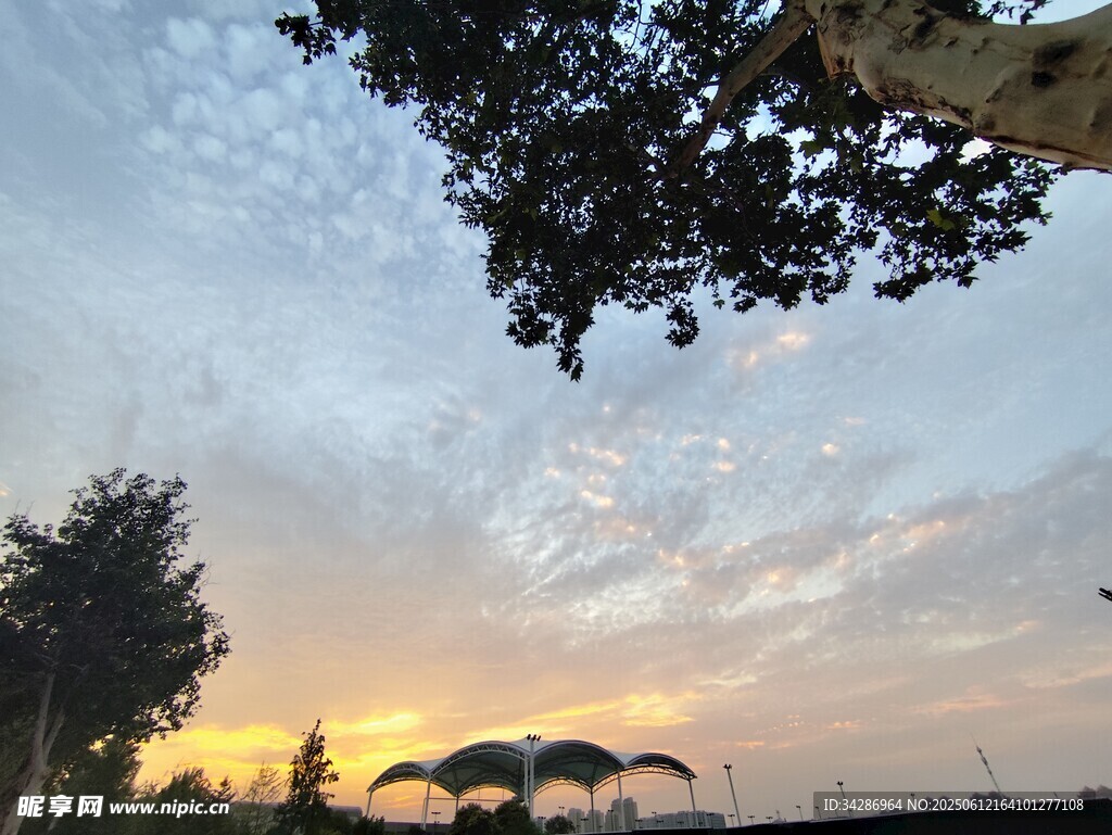 夕陽