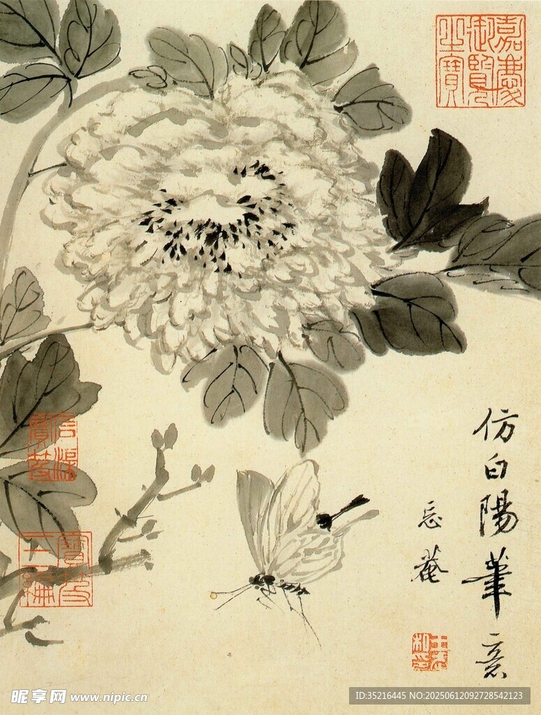 水墨牡丹圖