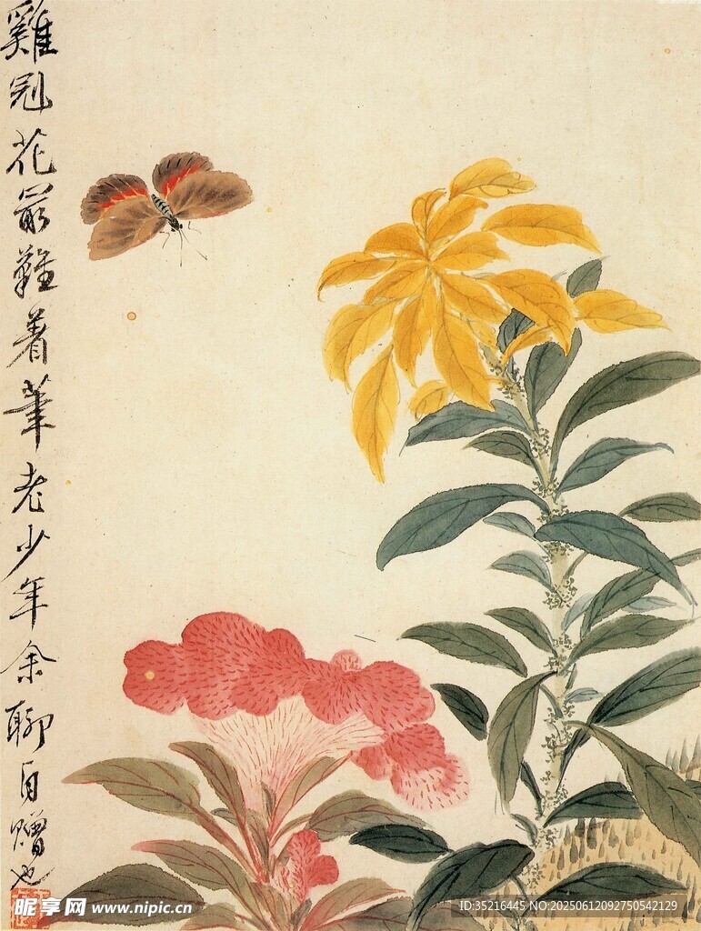 花卉蝴蝶圖