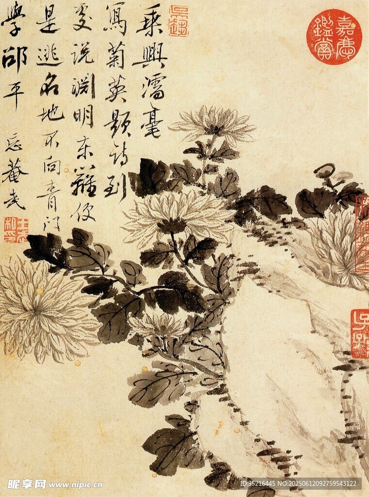 水墨菊花圖