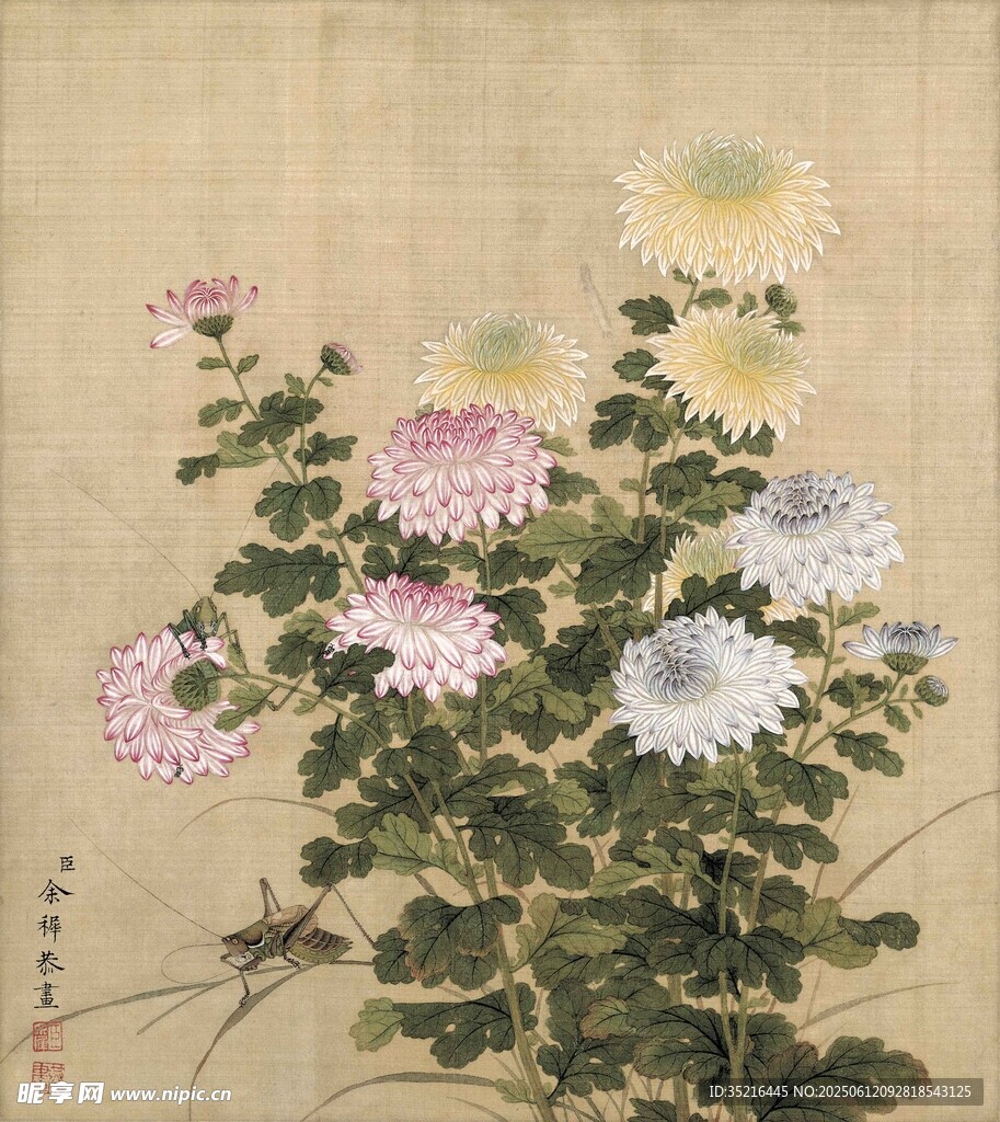 國畫菊花圖