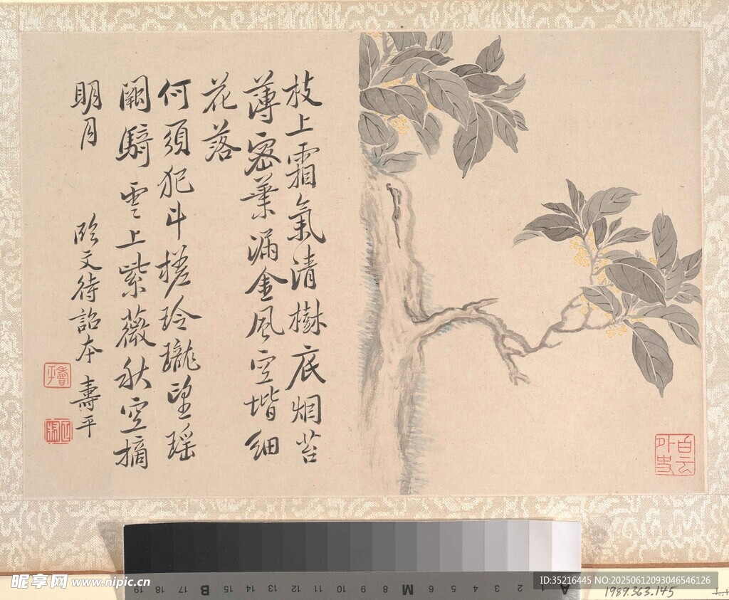 水墨花卉書法圖