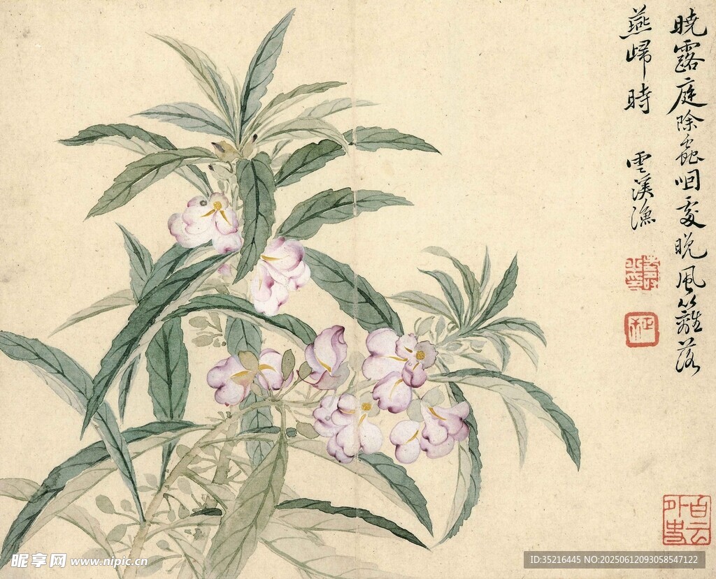水墨蘭花圖