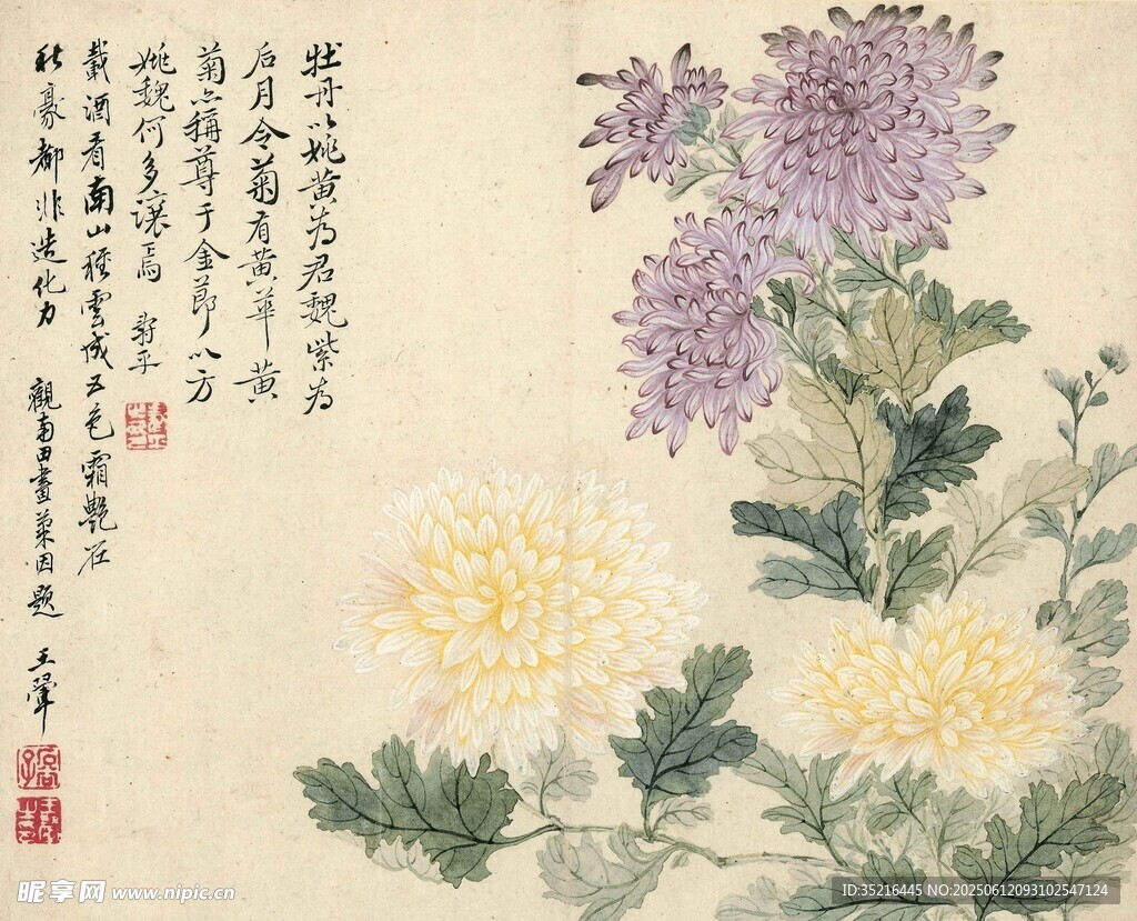 水墨菊花圖