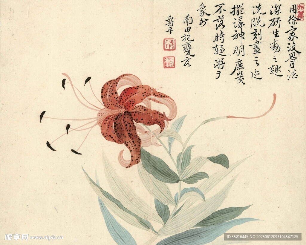 水墨寫意紅百合花圖