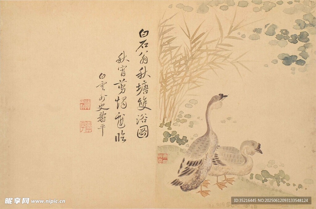 古畫中雙鵝棲于草木間