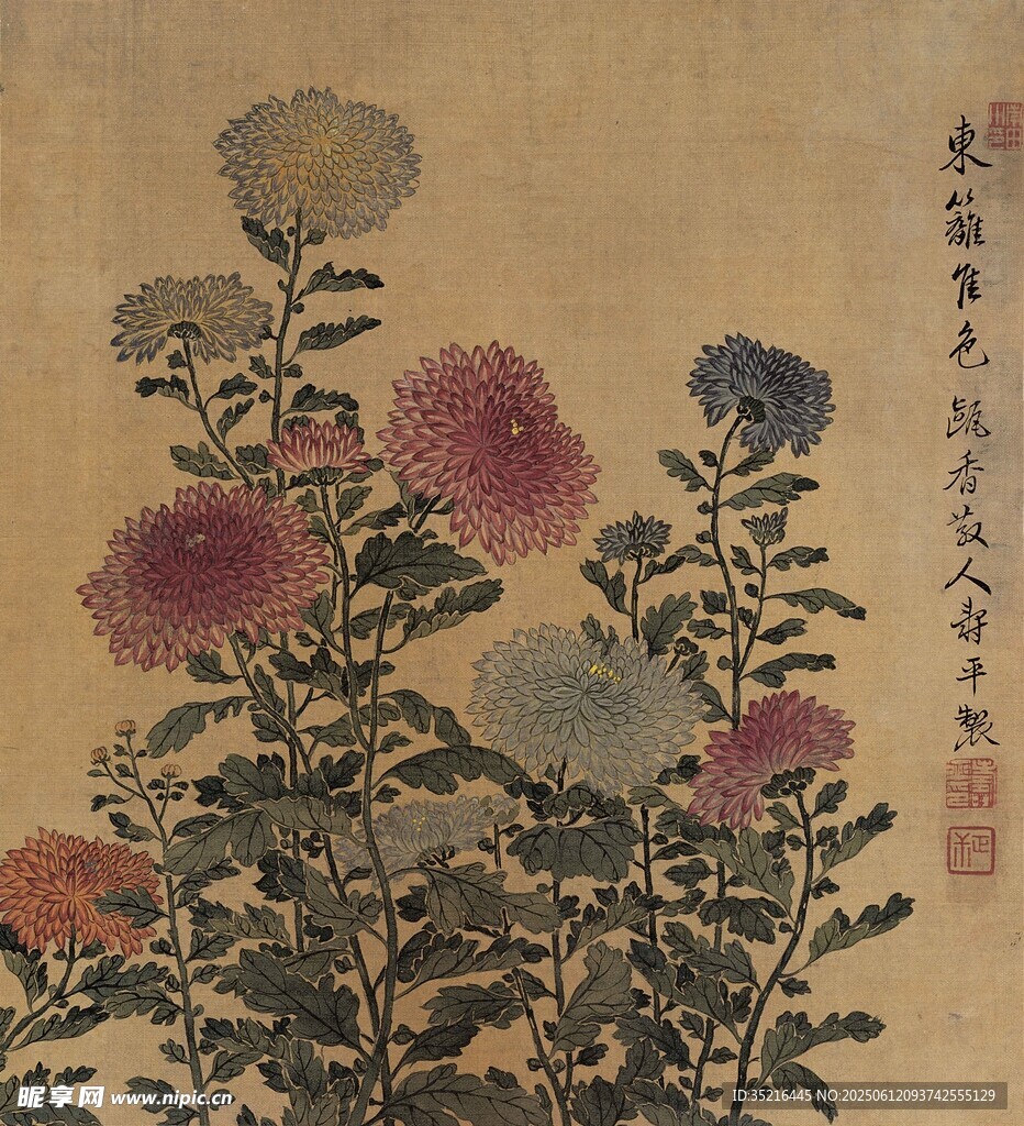 古畫中的多彩花卉