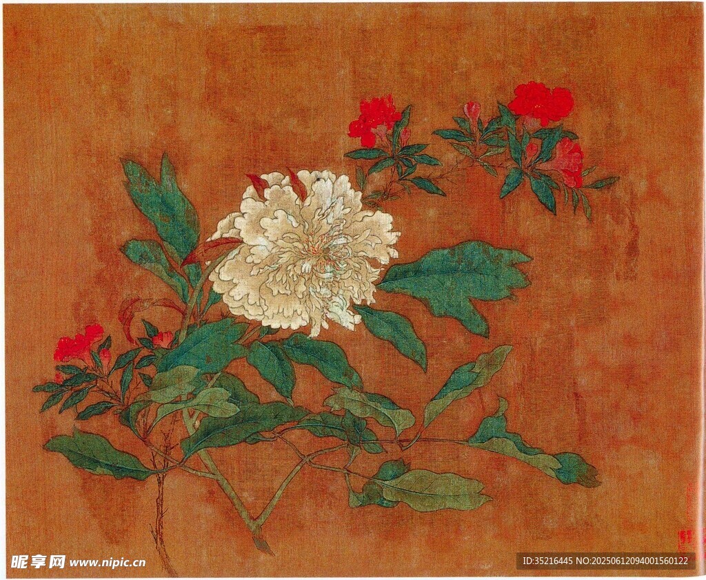 橙色背景下的優(yōu)雅蘭花