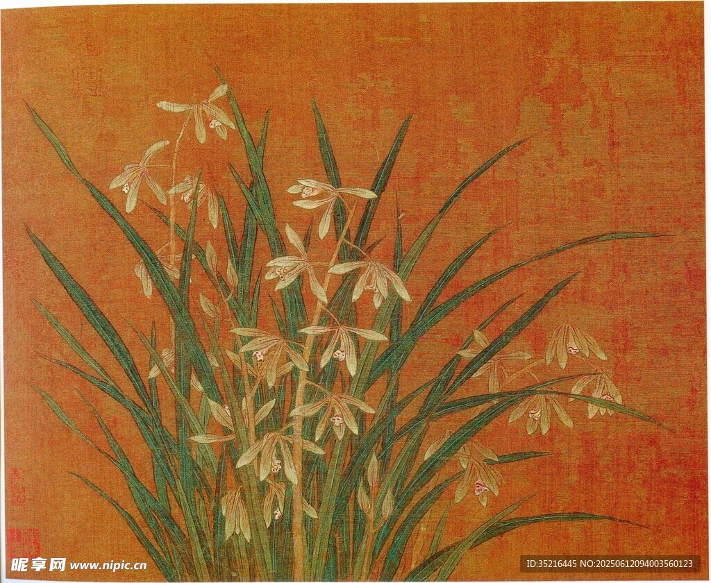 橙色背景下的優(yōu)雅蘭花
