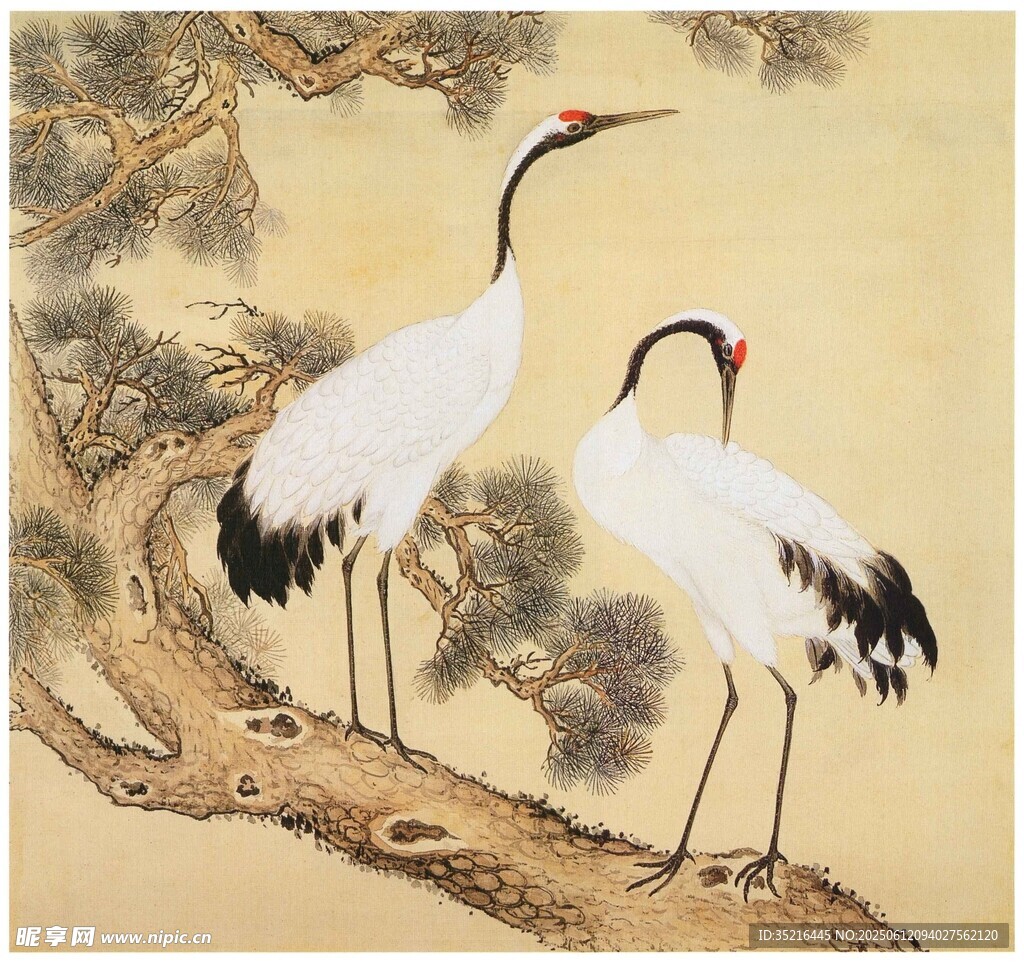 雙鶴棲于枝頭圖