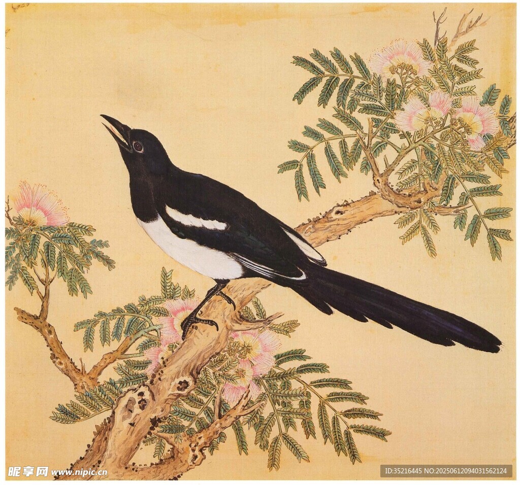 枝頭喜鵲圖