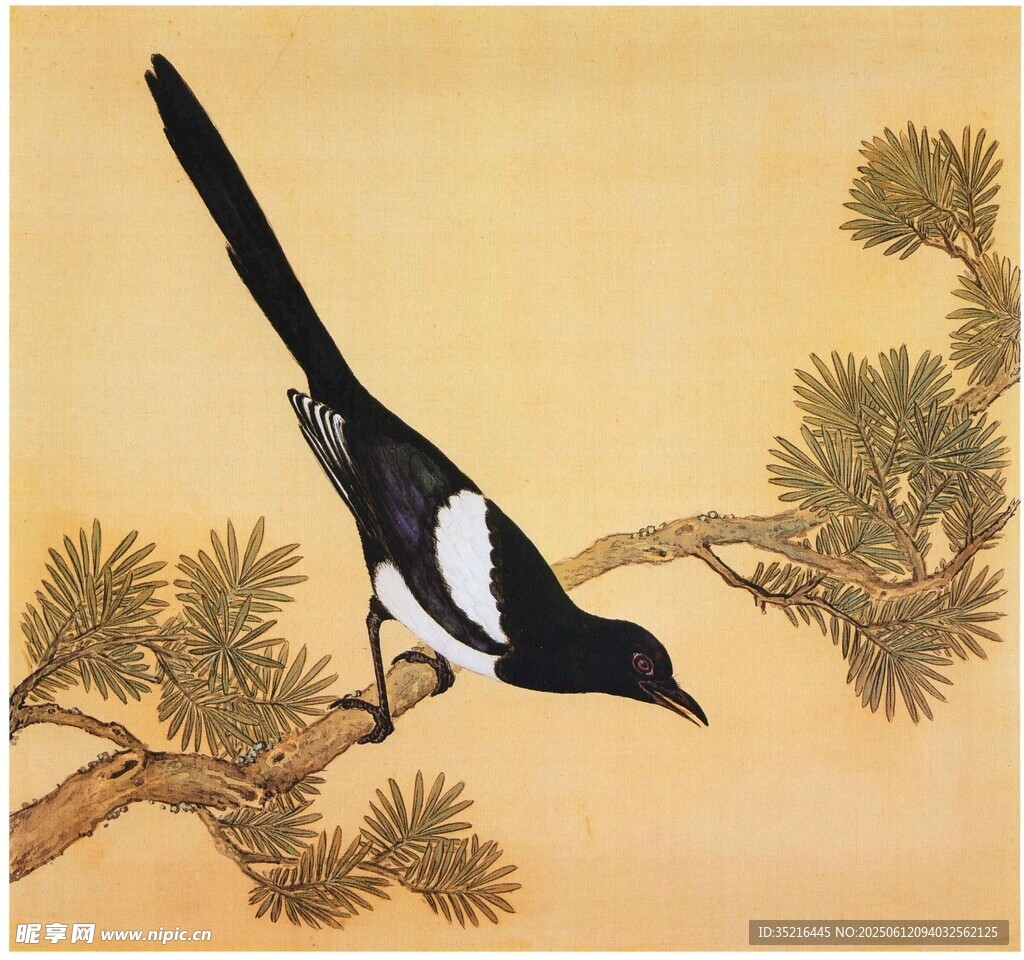 枝頭喜鵲圖