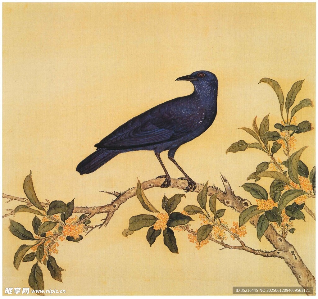 枝頭棲鳥圖