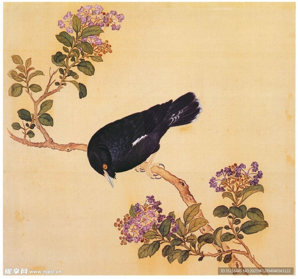枝頭黑鳥伴繁花
