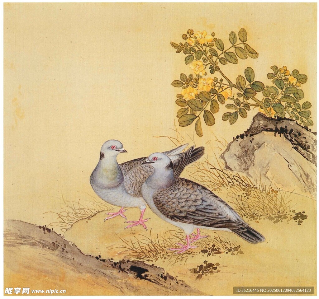 雙鴿棲于山石花木間
