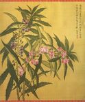 古典花卉圖之夾竹桃