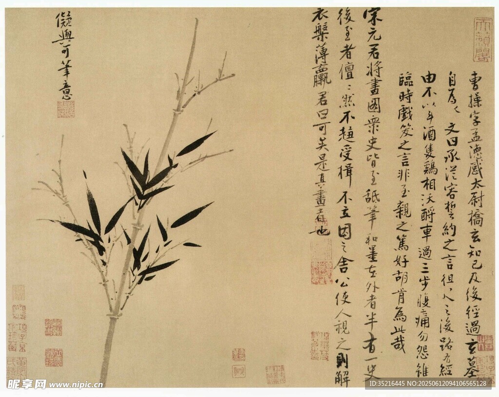 墨竹圖
