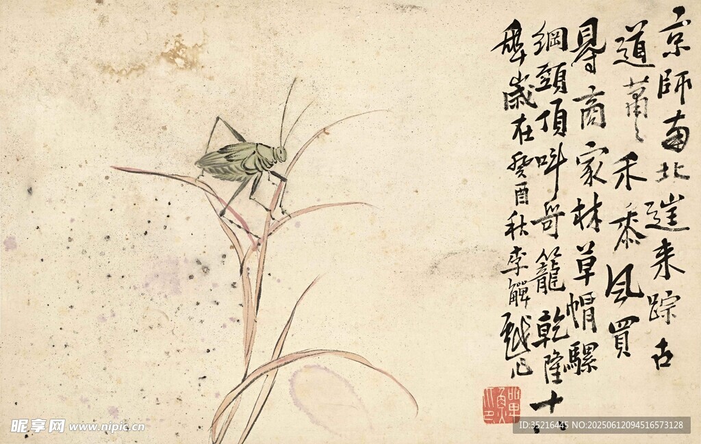 水墨草蟲圖