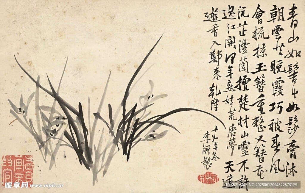 水墨蘭草圖