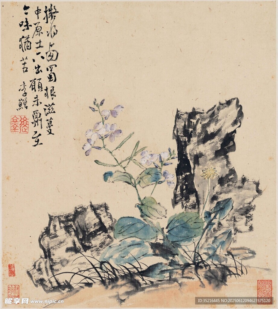 雙鳥棲枝圖