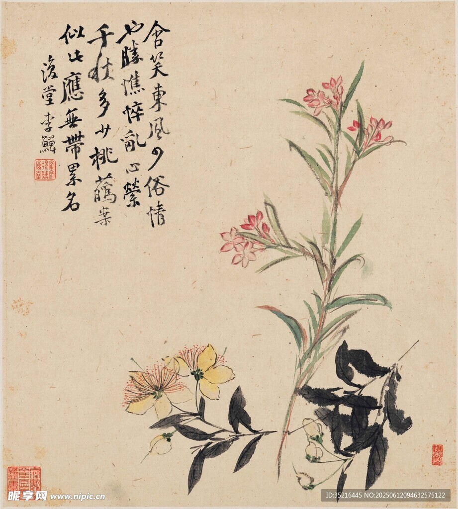 花卉國畫