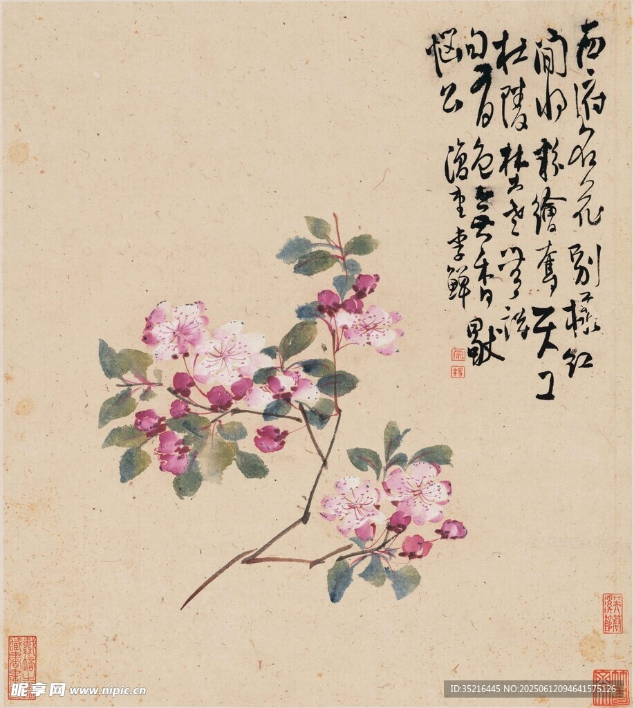 水墨花卉圖
