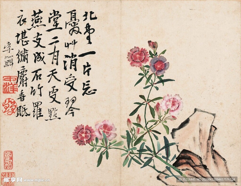 花卉國畫