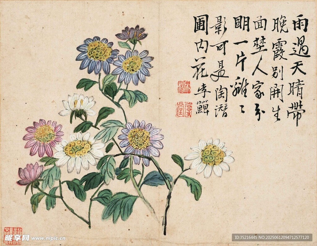 花卉國(guó)畫圖