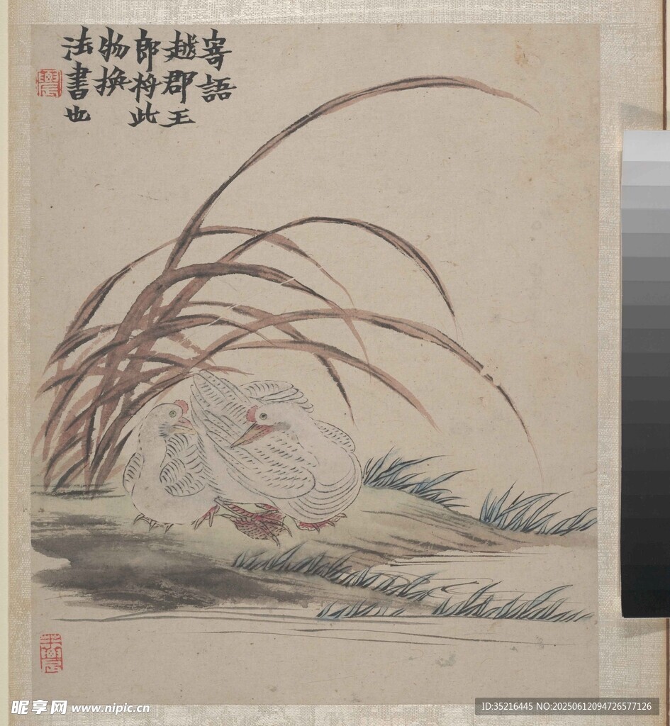 水墨蘆草間的禽鳥圖景