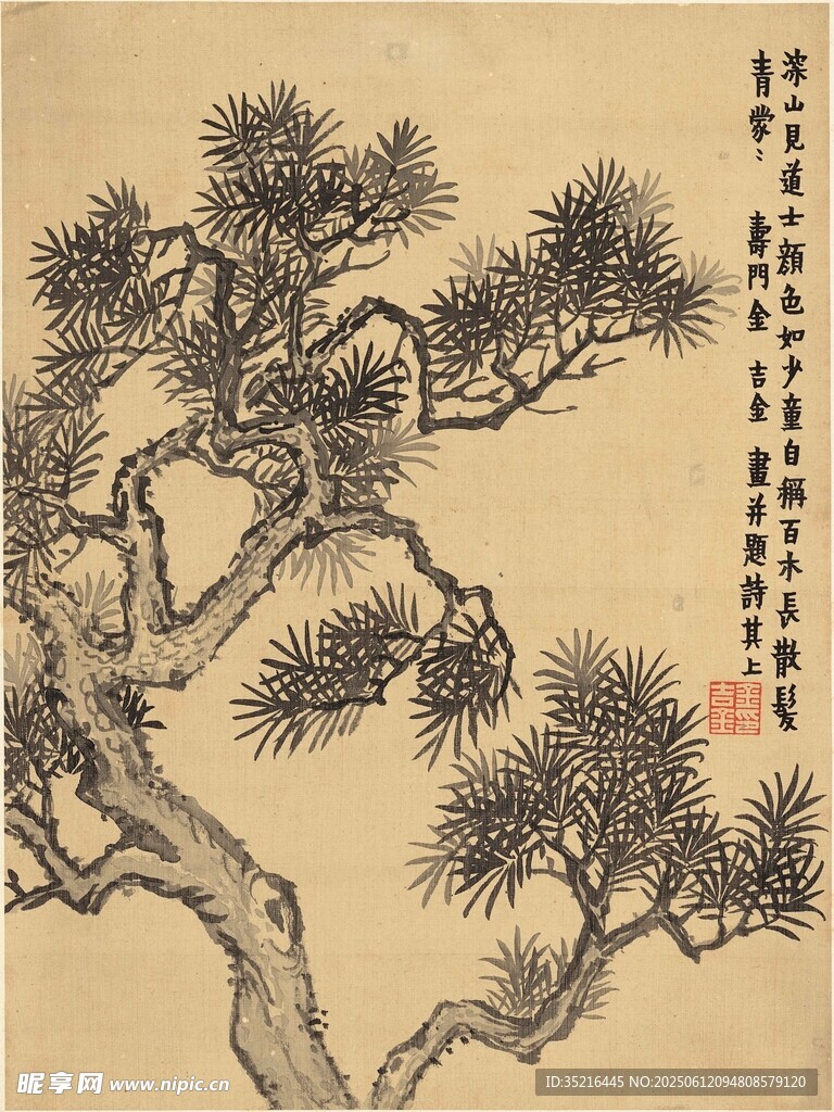 古松圖