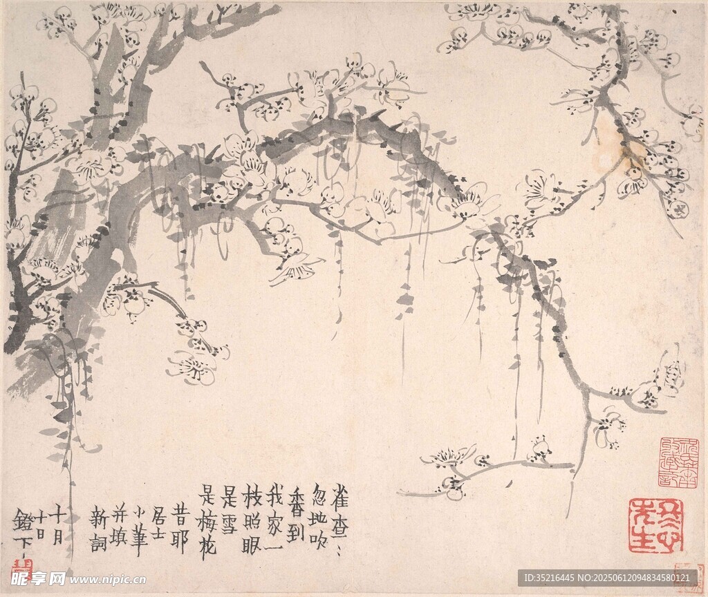 墨梅圖