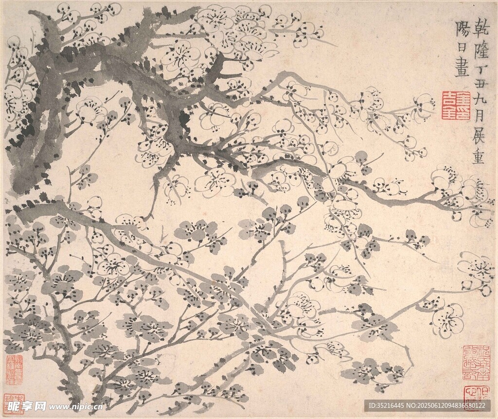 墨梅圖